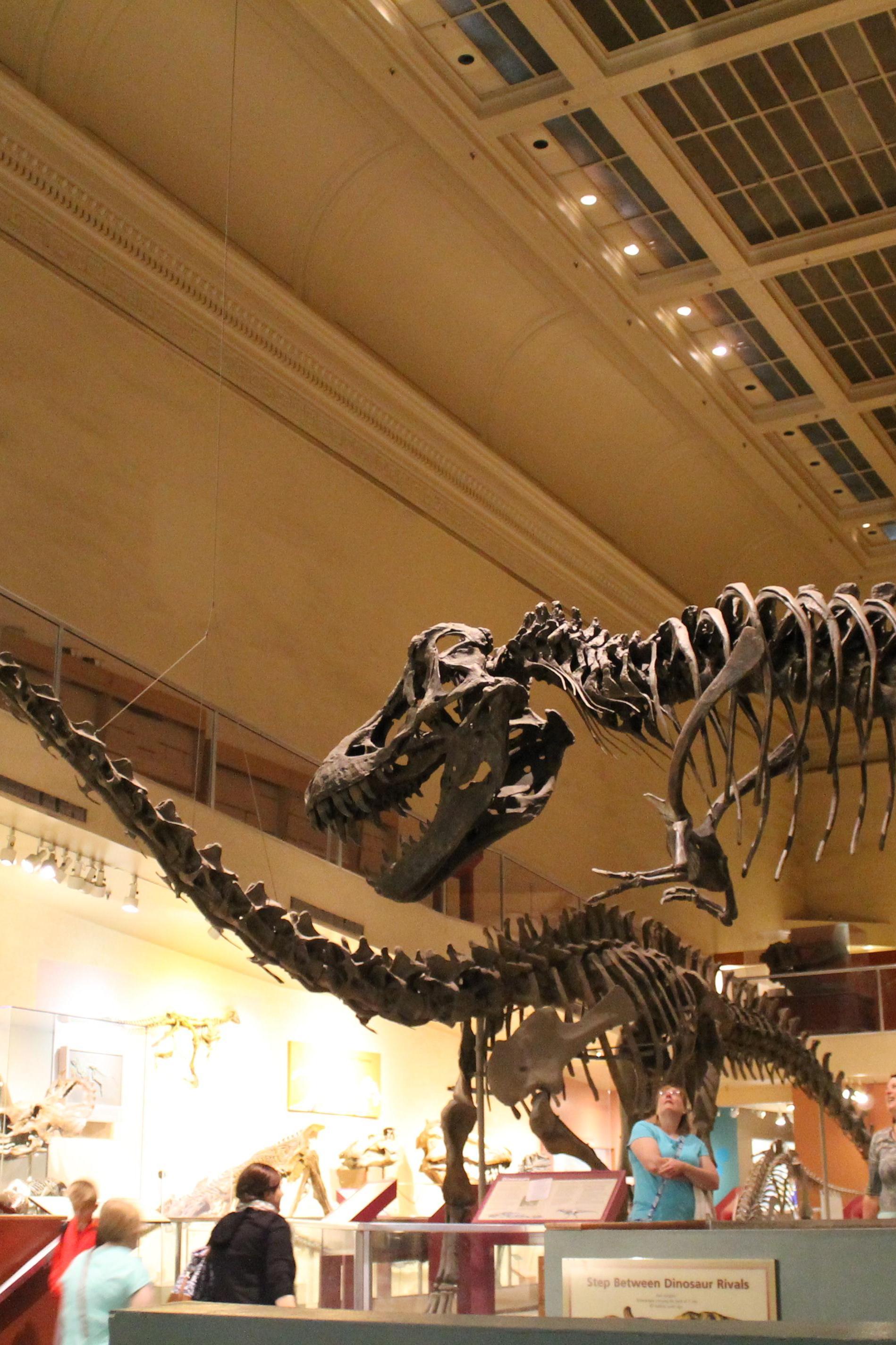 National Museum of Natural History